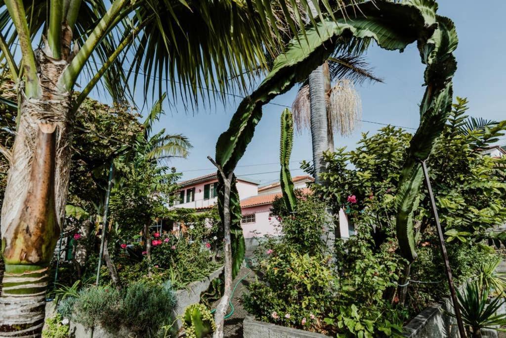 City View Gardens Funchal  Buitenkant foto